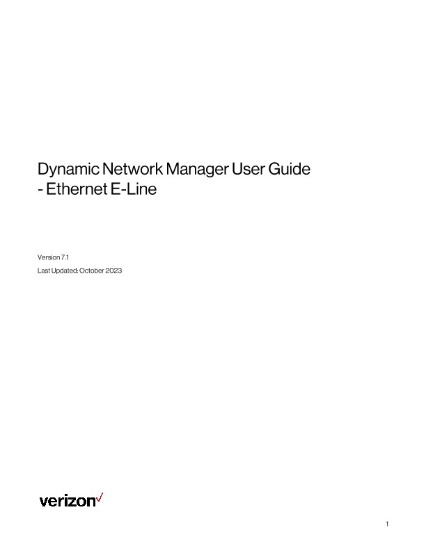 Dynamic Network Manager